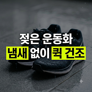 비오는 날 젖은 운동화 빠르게 말리는 법 : 냄새 제거하는 꿀