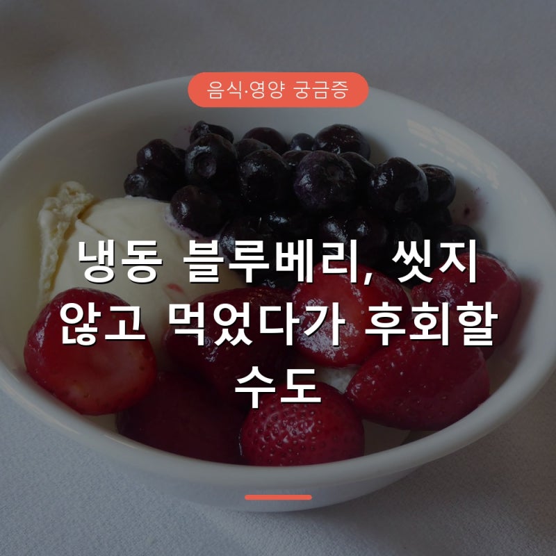 냉동 블루베리 이렇게 먹으면 오히려 안좋아요