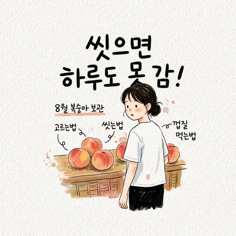 씻어서 두면 하루도 못 감 8월 복숭아 고르는법부터 보관법 지나 씻는법 껍질 먹는법