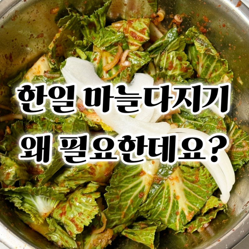 어머님댁에 한일 마늘다지기 한 대 놔드려야겠어요~ 김장 준비 완료!