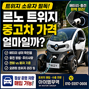 르노 트위지 중고차 가격 얼마일까? 배터리·충전·폐차 전 꼭 확인할 것
