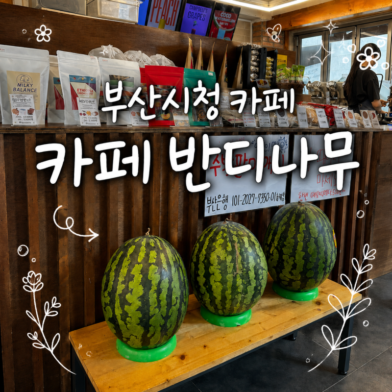 부산시청 카페 반디나무｜신선한 과일로 만든 특별한 메뉴와 커피 맛있는 양정 카페