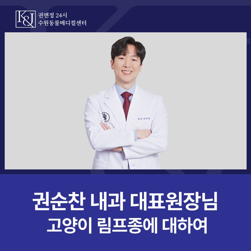 고양이 림프종, 어떻게 진단하고 치료할까요? - 권순찬 내과 대표원장님 인터뷰