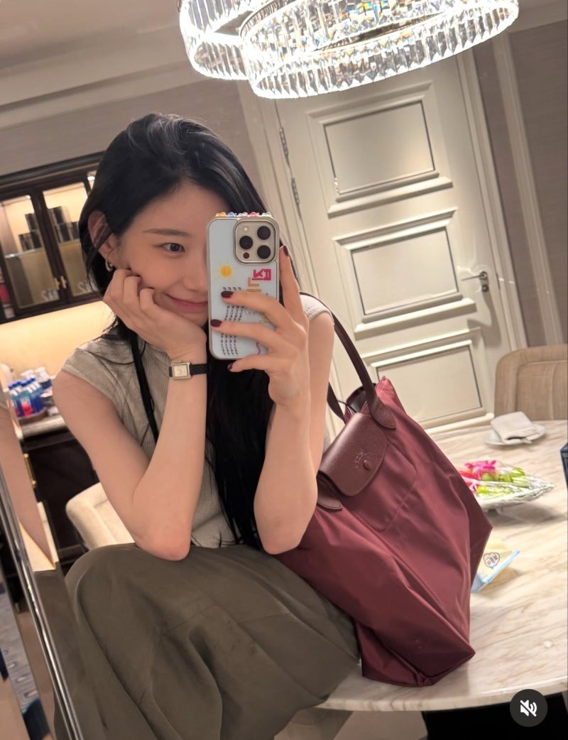 “한물간 줄 알았는데…” 채령이 들자 다시 뜨는 27만원대 가방