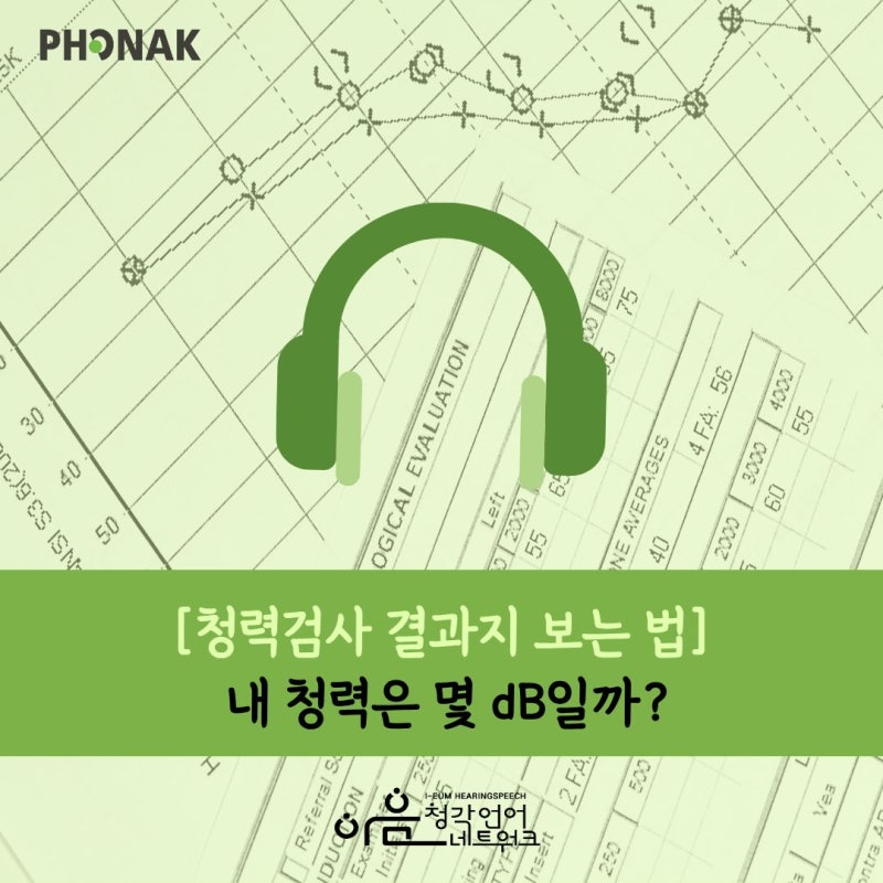 [수원 보청기 청력검사] 결과지 보는 법부터 내 청력 dB분석까지 한눈에 보기