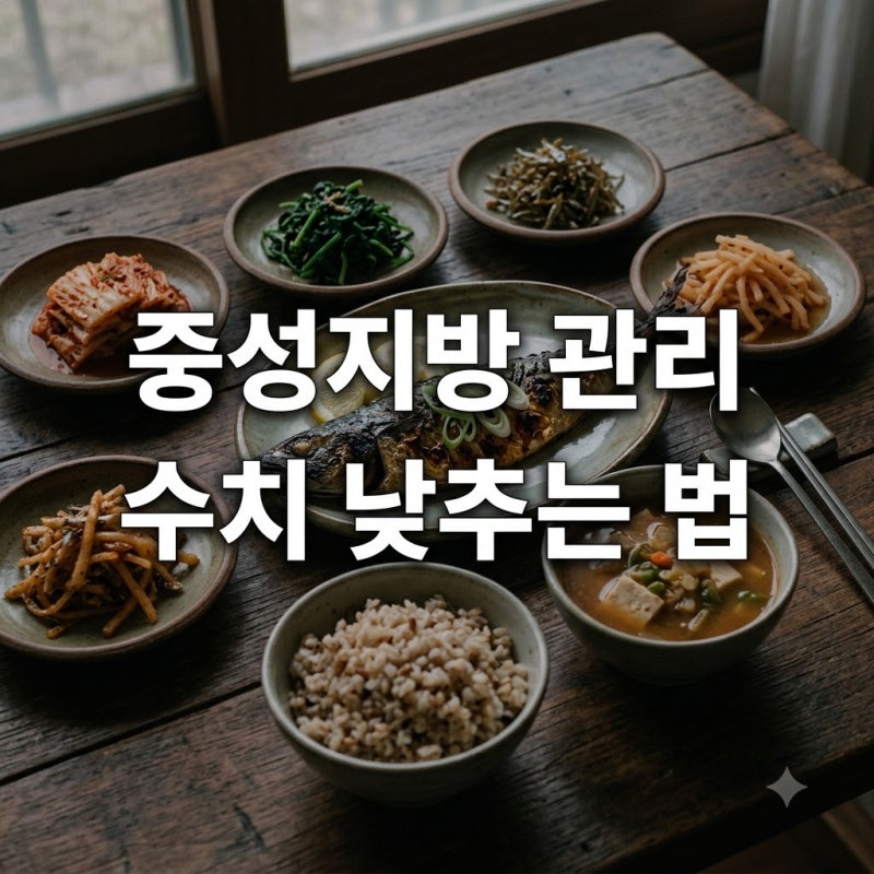 중성지방낮추는법 수치 200 관리하는 핵심 식단과 운동 가이드