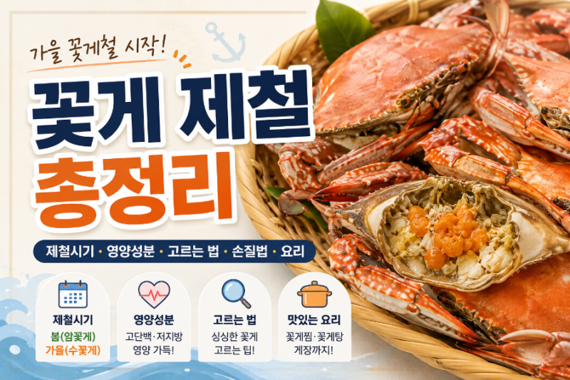 가을 꽃게철 시작! 꽃게 제철 시기·영양성분·고르는 법 총정리