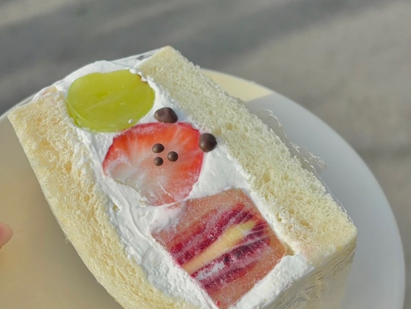 청주 ‘어반사파리’ㅣ 말랑이 가득 & 강아지 상주하는 애견동반카페