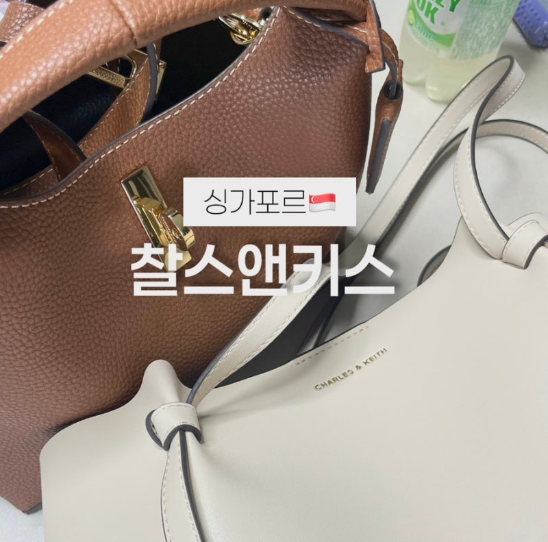 싱가포르에서 사면 한국보다 더 쌀까? 싱가포르 찰스앤키스 가방 2개 후기