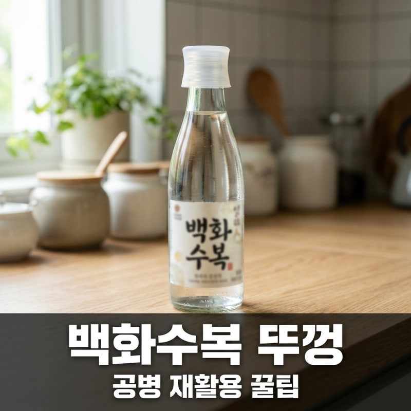 백화수복 실리콘뚜껑 활용법과 규격 맞는 대체품 추천 가이드