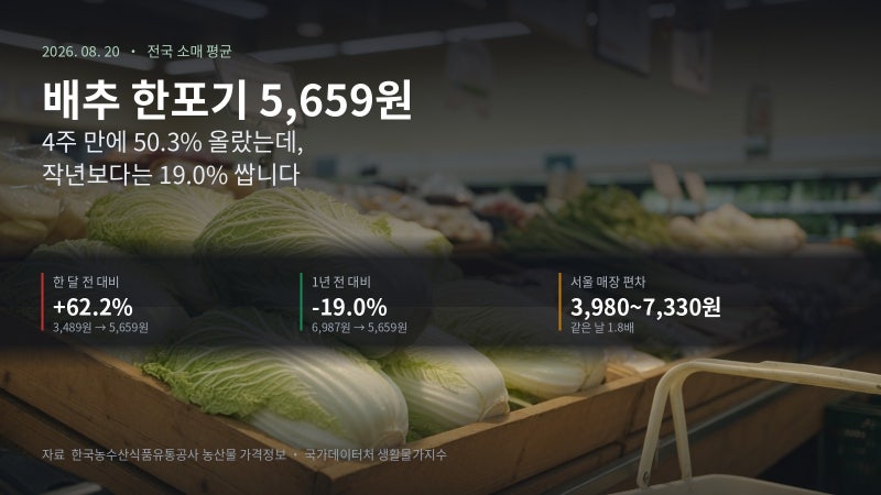 배추 가격 시세 한포기 5,659원 · 4주간 50% 급등 · 물가상승률 체감 차이 · 추석 장보기 절약....