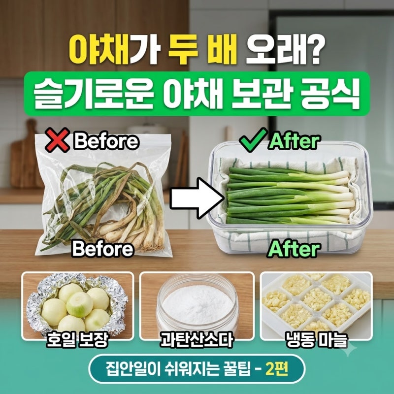 제발 그냥 냉장고에 넣지 마세요! 대파·양파 두 배 오래 먹는 싱싱 보관법
