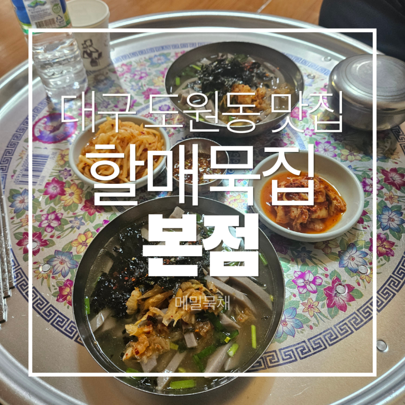 [대구 도원동 맛집] 대구 할매묵집 찐후기｜묵채 한 그릇 먹고 반한 할매 손맛, 여긴 진짜다