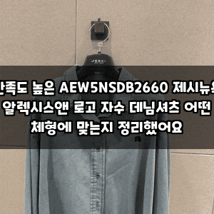 만족도 높은 AEW5NSDB2660 제시뉴욕 알렉시스앤 로고 자수 데님셔츠 어떤 체형에 맞는지 정리했....