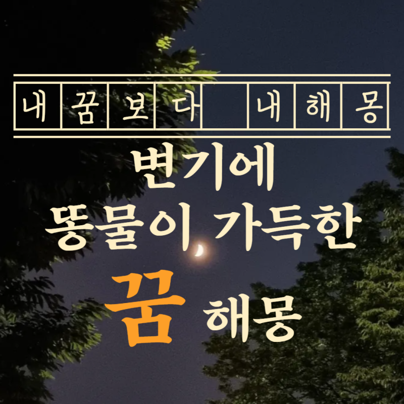「똥물이 변기에 가득 넘치는 꿈 해몽 」뜻밖의 재물을 얻는 길몽일지, 좋지 않은 일이 생길 ....