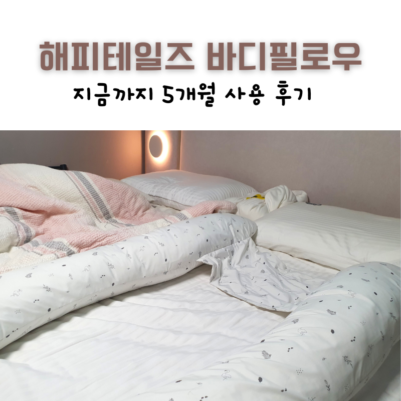 임산부 바디필로우 내돈내산 해피테일즈 5개월 사용후기