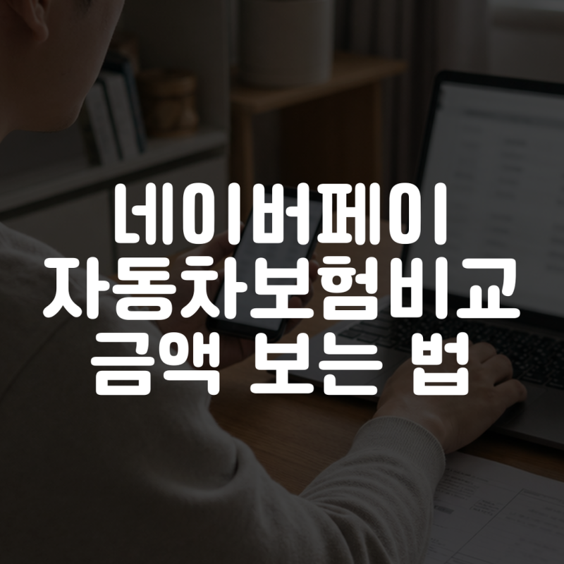 네이버페이 자동차보험비교 금액 보는 법