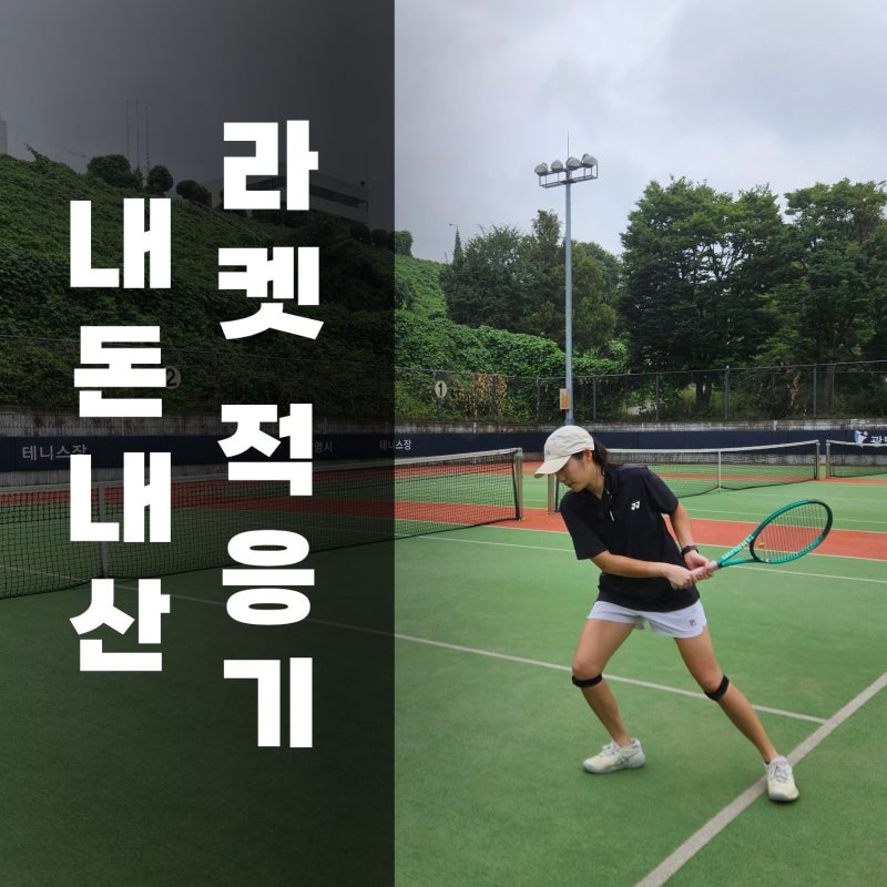 윌슨 블레이드 V10 265g, 테린이가 쓴 20일차 후기