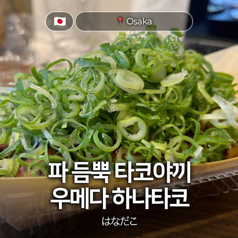 파 듬뿍 타코야끼 오사카 우메다 하나타코 네기타코 추천 후기