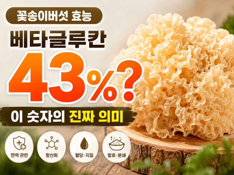 꽃송이버섯 효능, 베타글루칸이 43%나 된다는 게 무슨 뜻일까