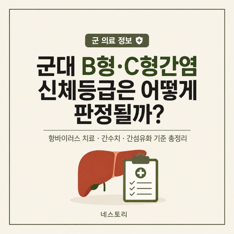 「군대 B형간염·C형간염, 신체등급은 어떻게 판정될까?｜항바이러스 치료·간수치·간섬유화....