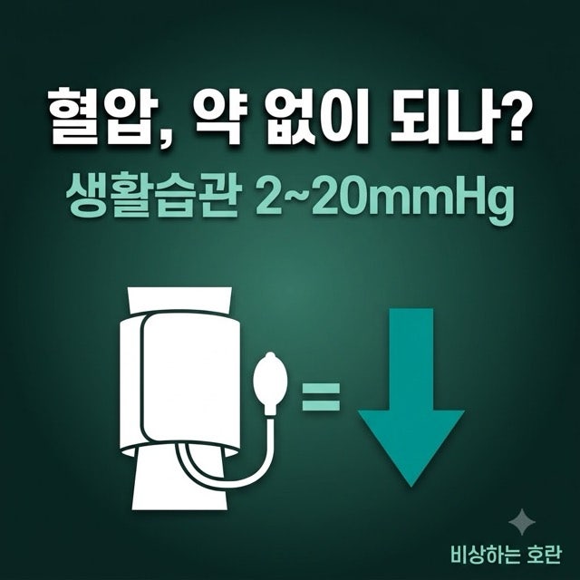 고혈압 낮추는 방법, 약 없이 되는 범위