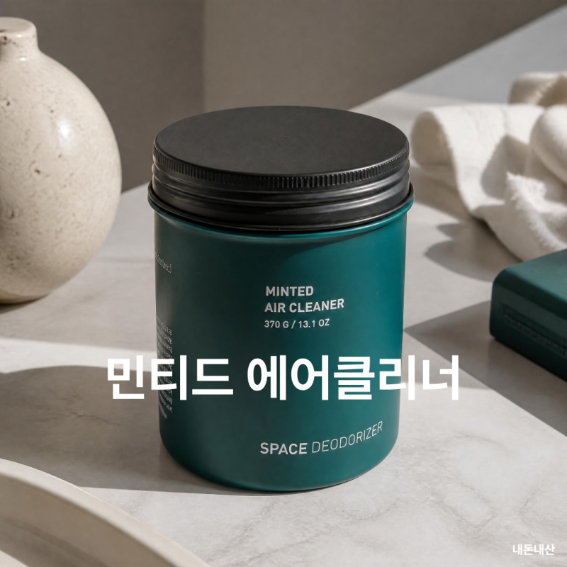 고체 탈취제 민티드 에어클리너 내 돈 내산 ｜직접 사용 후기