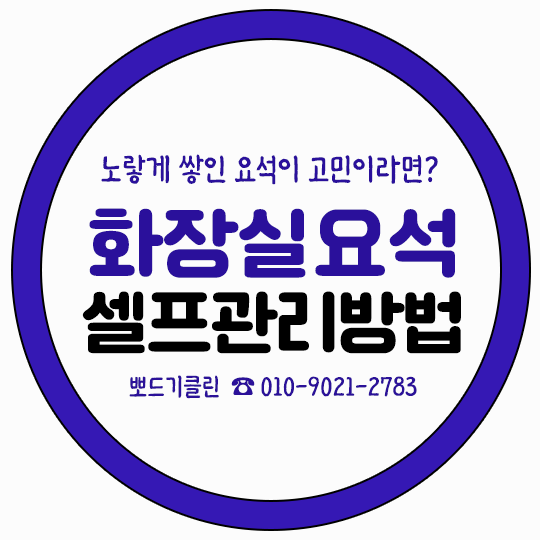 요석 제거하는 방법 화장실 변기 타일 셀프로 청소하기