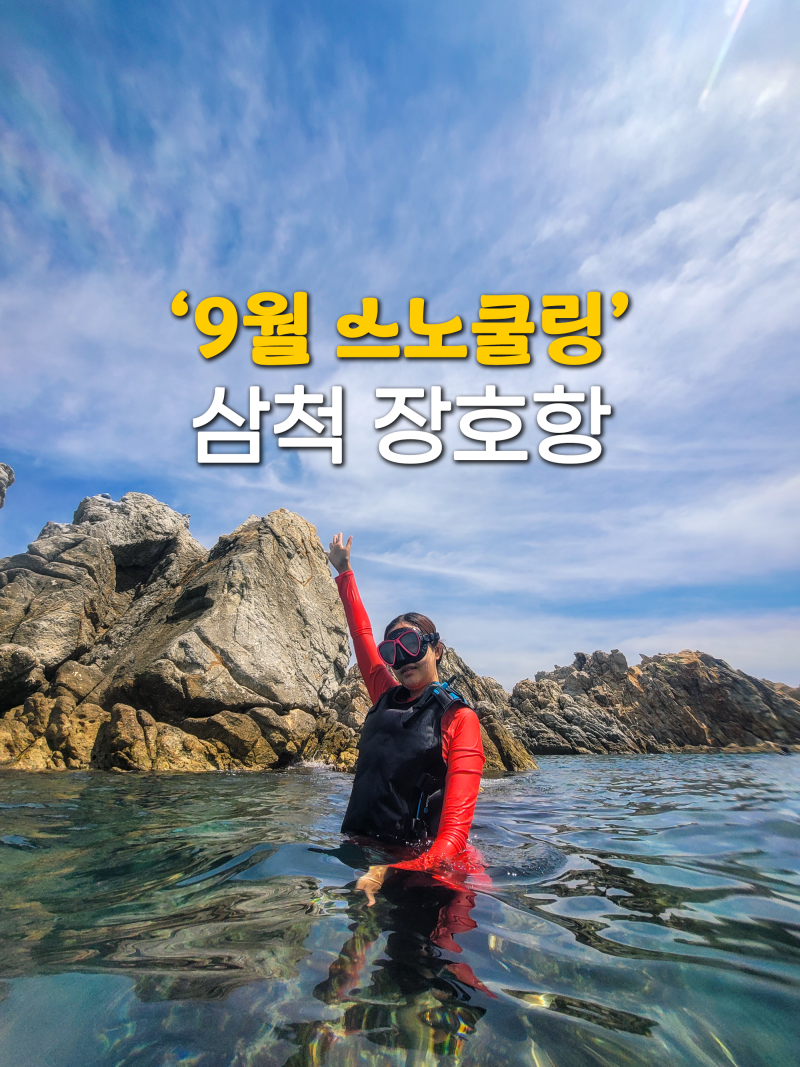 강원도 삼척 장호항, 9월까지 놀 수 있는 늦여름 스노쿨링 명소