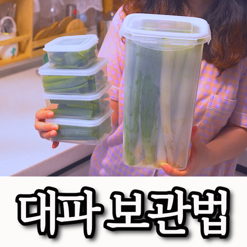 대파 보관법 다이소 밀폐용기 쉽게 해결