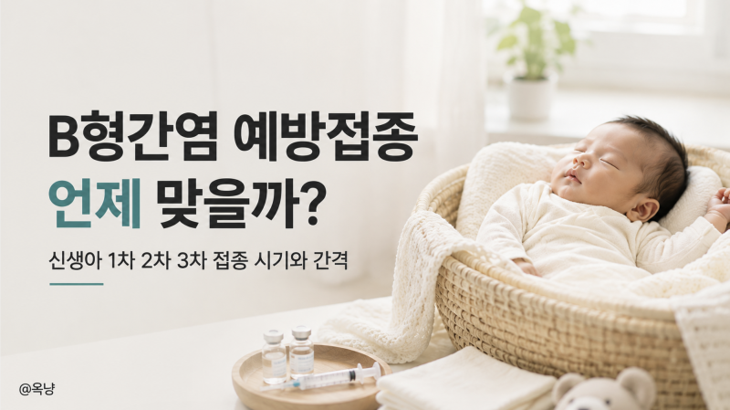 B형간염 예방접종 언제 맞을까? 신생아 1차 2차 3차 접종 시기와 간격