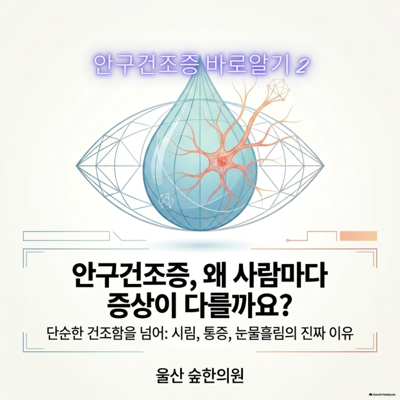 안구건조증의 증상은 왜 사람마다 다를까? 눈이 시리고 뻑뻑한 이유
