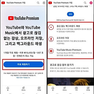 유튜브 프리미엄 무료체험 안됨? 무료체험이 안 뜨는 이유와 해결방법