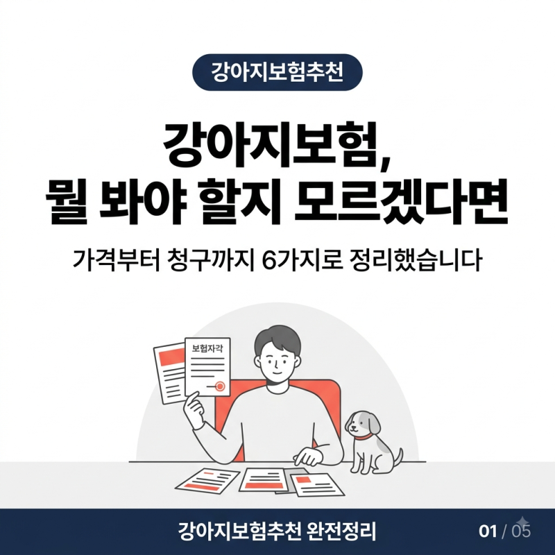 강아지보험추천 알아보다가 이 순서대로 정리했더니 끝났어요