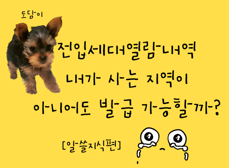 전입세대열람내역, 내가 사는 지역이 아니어도 발급 가능할까?