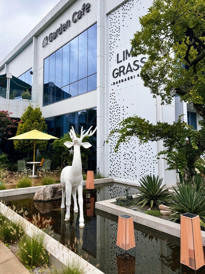 용인 대형 카페 라임그라스, 디저트맛집 애견동반 주말방문 주차