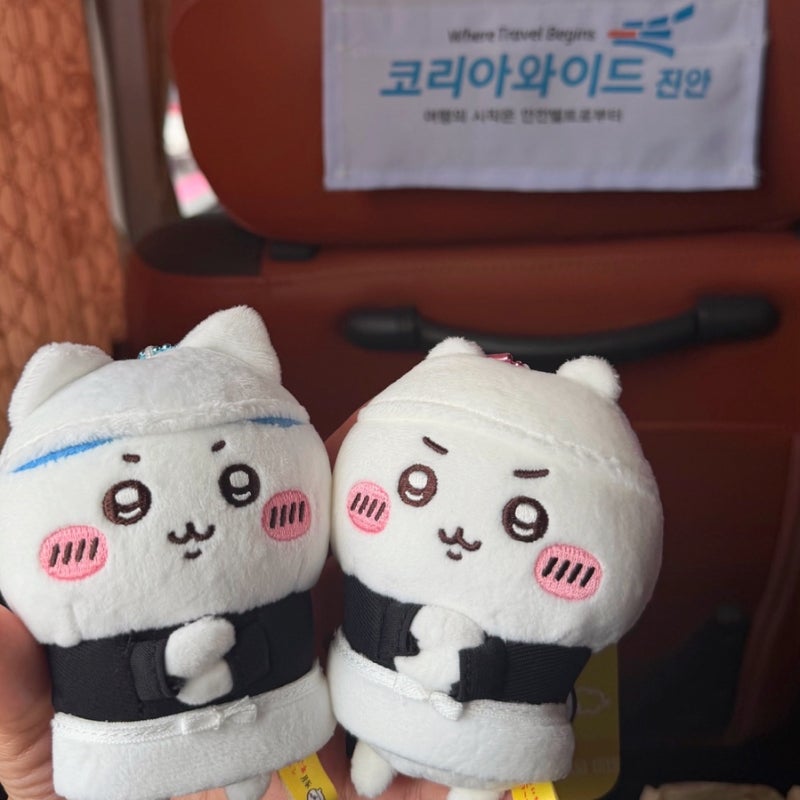 부산 김해공항 리무진버스 대구 가는 법 시간표 예매 예약 방법 탑승 위치 요금
