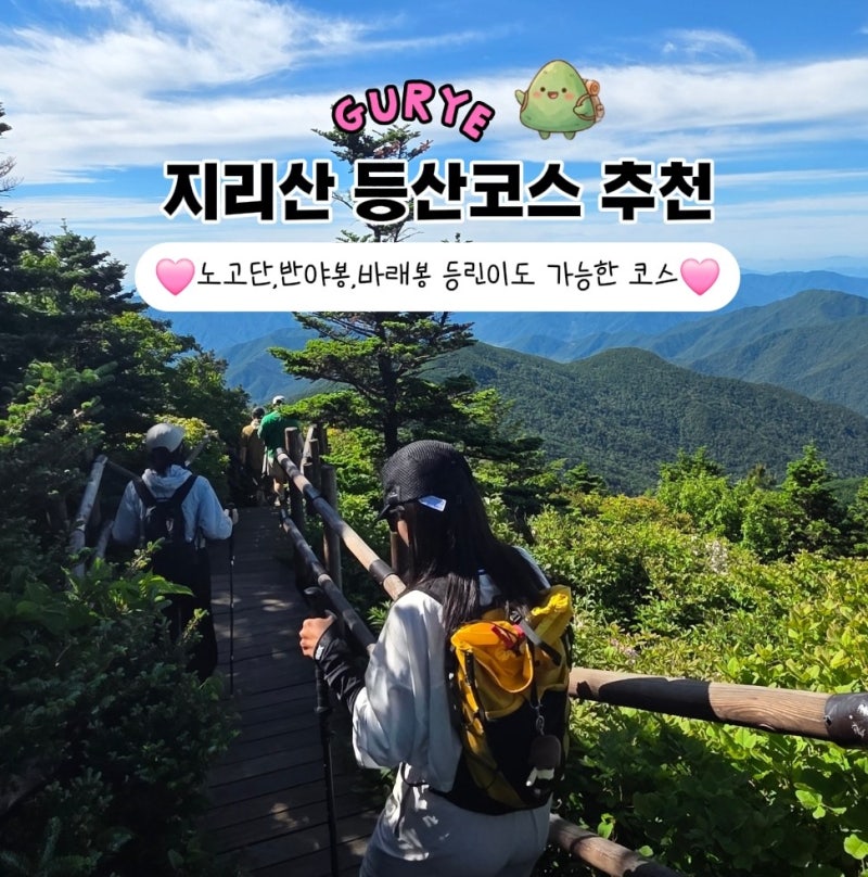 지리산 운해 볼까, 곰탕 볼까? 등린이 맞춤 노고단·바래봉·반야봉 등산코스 비교