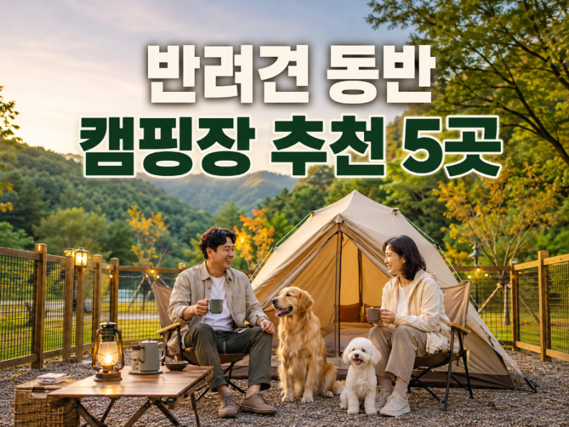 반려견 동반 캠핑장 추천 5곳｜개별 울타리·운동장·대형견 가능 여부