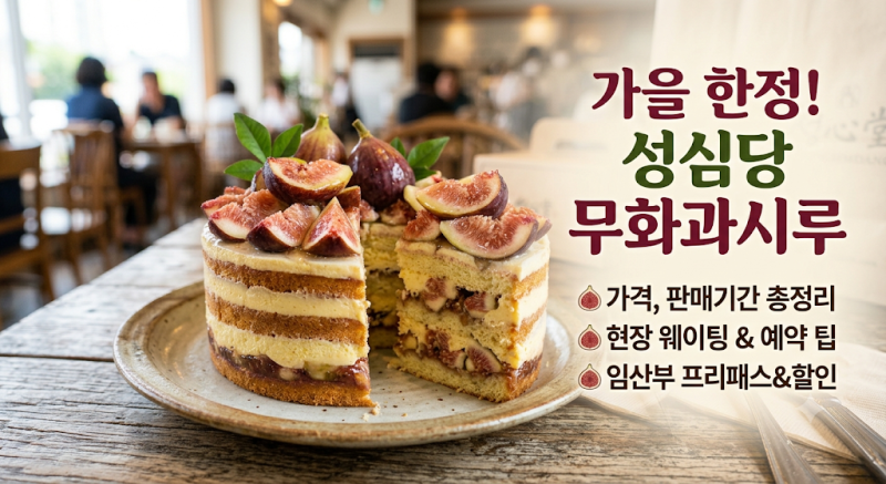 [대전 성심당] 무화과시루 완벽 가이드: 판매기간부터 가격/예약 방법/임산부 혜택 총정리!!