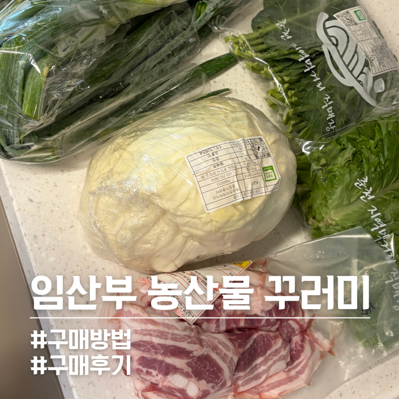 [구매리뷰] 강원도 춘천 임산부 농산물 꾸러미 구매방법 및 후기