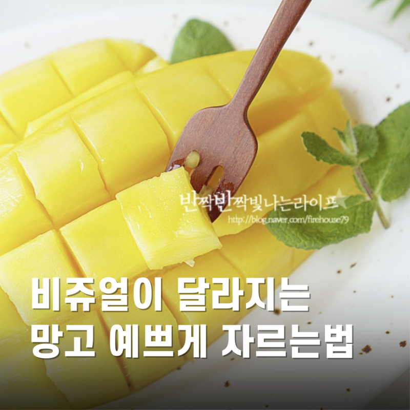 예쁘게 망고 자르는법 ! 애플망고 손질법 까는법 자르기 방법 팁