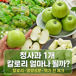 청사과 1개 칼로리 얼마나 될까 먹기 전 알아둘 점