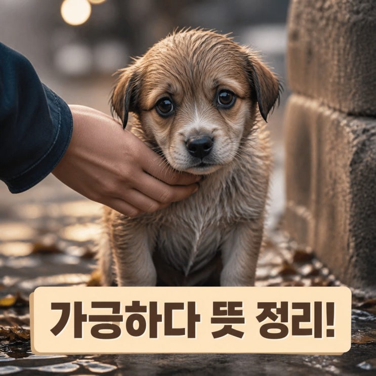 <b>가긍하다 뜻</b>과 올바른 사용법 완전 정리