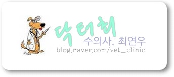 고양이 집사 15%가 직면할 수 있는 비대성 심근증(HCM)에 대해 몰랐던 6가지 진실