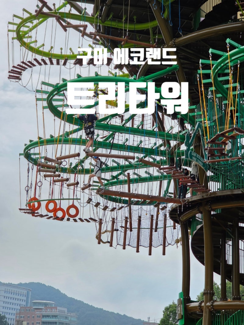 구미 에코랜드 어드벤처 트리타워 초등 저학년 체험 후기 | 예약, 가격 정보