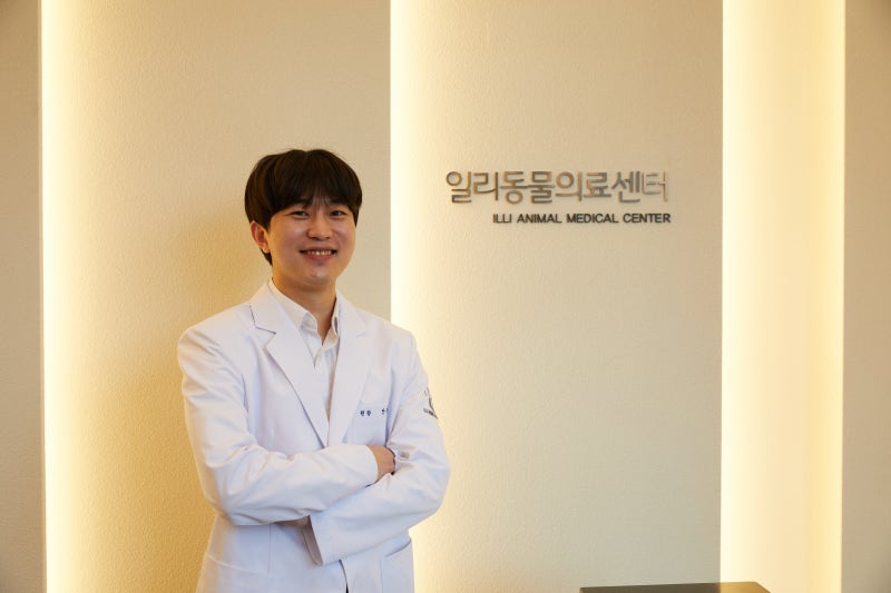 강아지 스케일링 마취 후 밥은 언제? 양치는 언제부터? 일리가 알려드립니다.