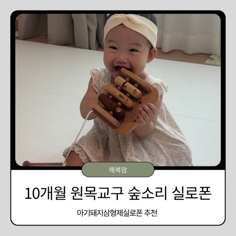 10개월 아기장난감 추천, 숲소리 원목교구 아기돼지 삼형제 실로폰