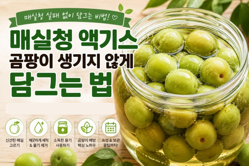 매실청 매실 액기스 곰팡이 피지 않게 담그는 법