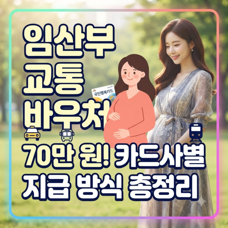"어떤 카드가 제일 편할까?" 임산부 교통 바우처 카드사별 70만 원 지급 방식 완벽 비교